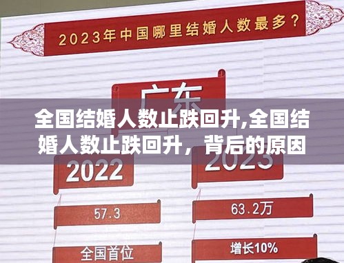 全國(guó)結(jié)婚人數(shù)止跌回升，趨勢(shì)分析與原因探究