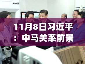 11月8日習(xí)近平：中馬關(guān)系前景光明 未來(lái)可期，11月8日習(xí)近平主席談中馬關(guān)系，未來(lái)光明，前景可期