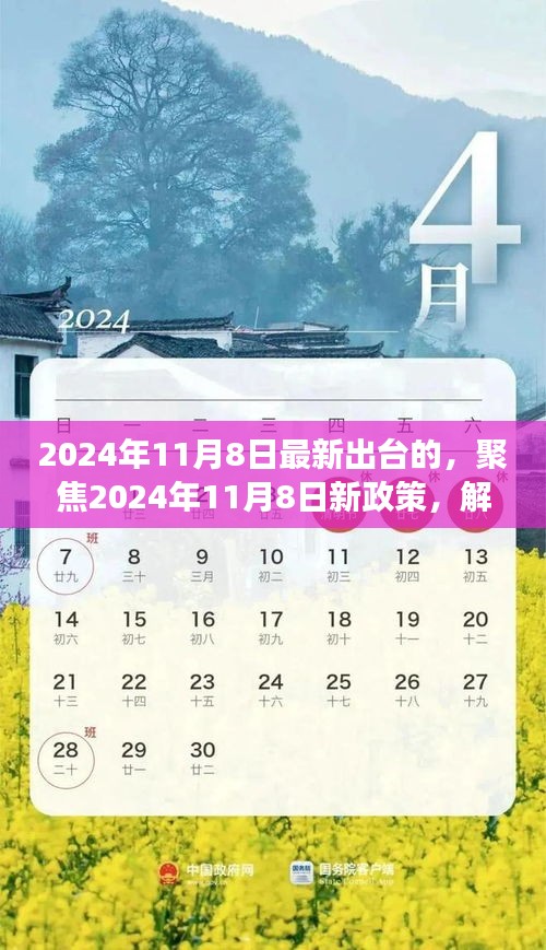 聚焦新政策，解讀三項(xiàng)要點(diǎn)出爐，洞悉未來趨勢——2024年11月8日最新政策解讀標(biāo)題