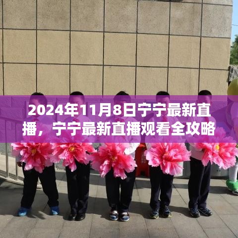 寧寧直播指南，2024年11月8日直播觀看全攻略與入門指南