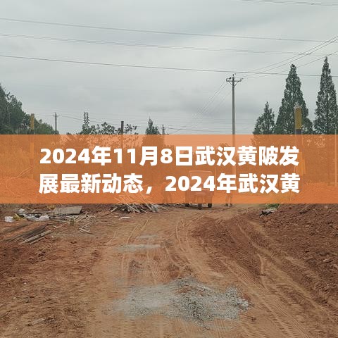 2024年武漢黃陂發(fā)展最新動(dòng)態(tài)探索，融入?yún)^(qū)域發(fā)展大潮的步伐