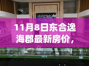 揭秘東合逸?？ぷ钚路績r動態(tài)，數(shù)字背后的故事與影響