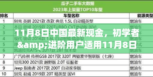 初學(xué)者與進(jìn)階用戶指南，11月8日中國最新現(xiàn)金操作指南及任務(wù)完成步驟詳解