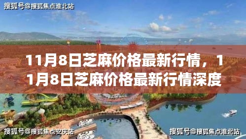 芝麻最新行情解析，多方觀點碰撞與個人立場闡述