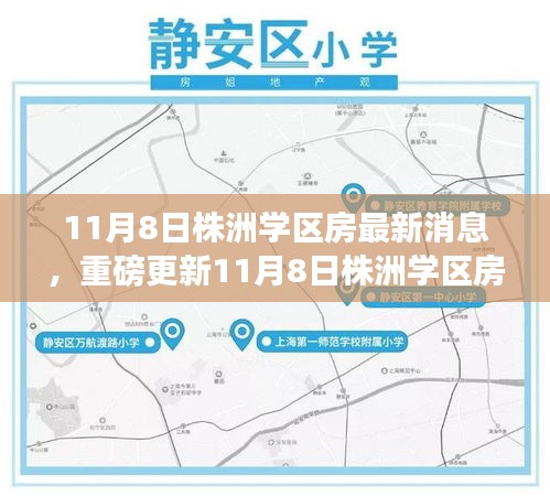 揭秘最新動(dòng)態(tài)，株洲學(xué)區(qū)房最新消息與教育地產(chǎn)趨勢展望