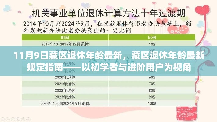 藏區(qū)退休年齡最新規(guī)定指南，從初學(xué)者到進(jìn)階用戶的視角解析（11月9日更新）