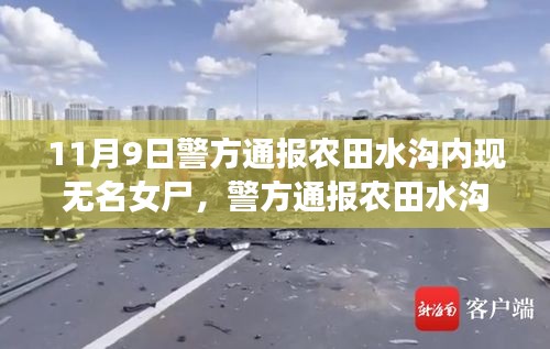 農(nóng)田水溝內(nèi)發(fā)現(xiàn)無名女尸事件，深度解析與評(píng)估的通報(bào)消息曝光