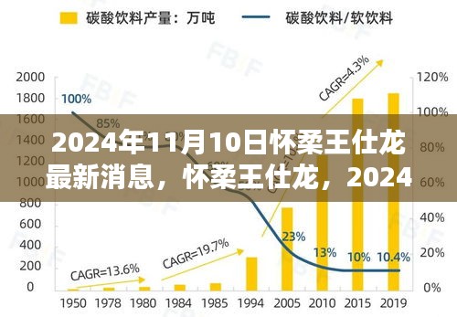 懷柔王仕龍最新動(dòng)態(tài)與深遠(yuǎn)影響力揭曉，2024年11月10日更新