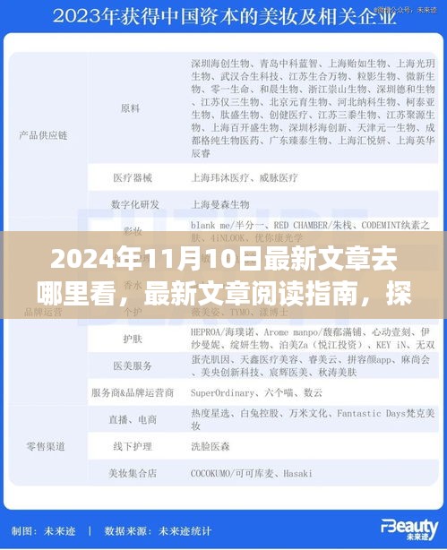 探尋最新文章閱讀指南，揭秘2024年11月10日的精彩內(nèi)容