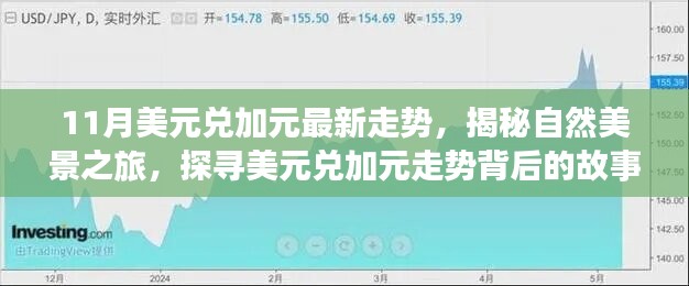 揭秘美元兌加元走勢(shì)背后的故事，自然美景之旅啟程，探尋內(nèi)心的寧?kù)o與平和之旅