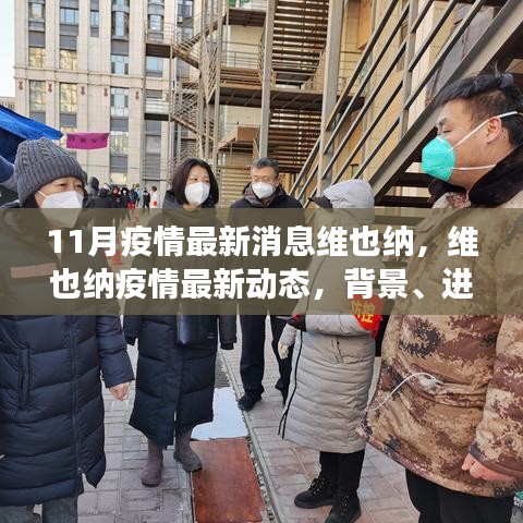 維也納疫情最新動態(tài)，背景、進展與影響概述