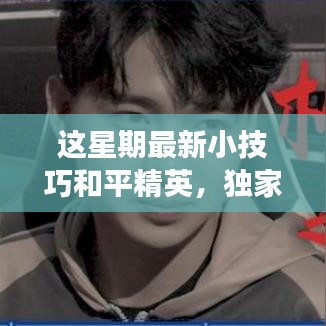 獨(dú)家揭秘，和平精英最新小技巧，成為戰(zhàn)場(chǎng)主宰秘籍！