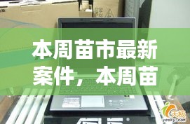 本周苗市熱點揭秘，最新案件動態(tài)全掌握