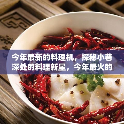 探秘小巷深處的料理新星，今年最火隱藏式料理機(jī)小店介紹