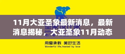 大亞圣象11月最新動(dòng)態(tài)揭秘，任務(wù)指南與技能學(xué)習(xí)全攻略發(fā)布