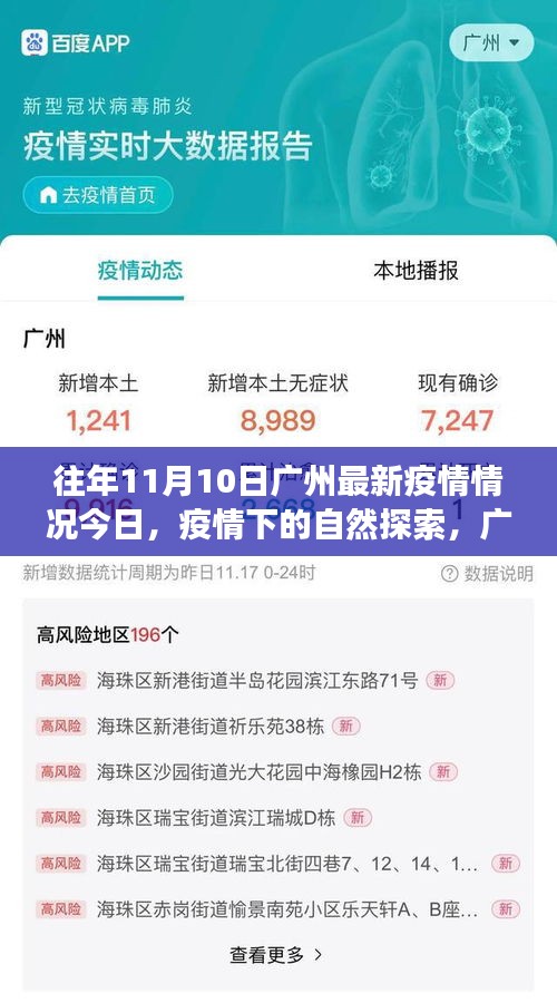 往年11月10日廣州疫情更新，疫情下的自然探索與寧靜美景之旅