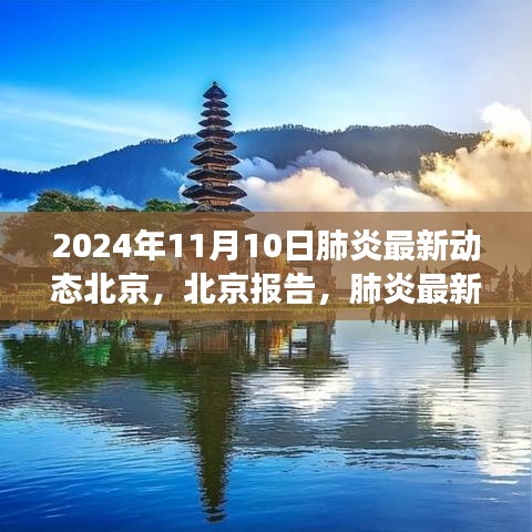北京肺炎最新動(dòng)態(tài)深度觀察，報(bào)告與影響，2024年11月10日最新進(jìn)展