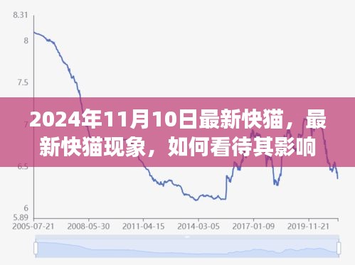 最新快貓現(xiàn)象，影響與未來發(fā)展觀察（2024年觀察點(diǎn)）