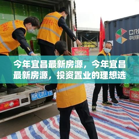 肝膽相照 第31頁