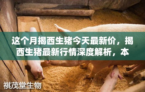 揭西生豬最新行情深度解析，本月市場(chǎng)動(dòng)態(tài)、競(jìng)品對(duì)比及價(jià)格走勢(shì)揭秘