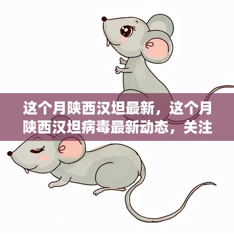 陜西漢坦病毒最新動(dòng)態(tài)，關(guān)注疫情進(jìn)展，共筑健康防線