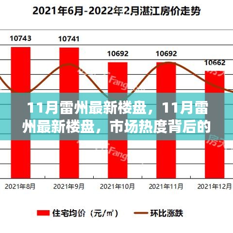 市場熱度背后的深度解讀與個人立場，11月雷州最新樓盤觀察