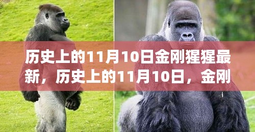 新聞中心 第209頁