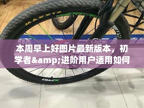 最新早上好圖片問候版獲取與使用指南，適合初學(xué)者與進(jìn)階用戶