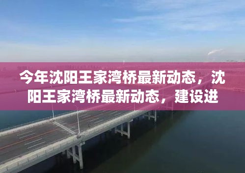 沈陽王家灣橋建設(shè)進展，最新動態(tài)與未來展望