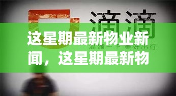 最新物業(yè)新聞一周概覽，全面解讀物業(yè)領(lǐng)域最新動態(tài)