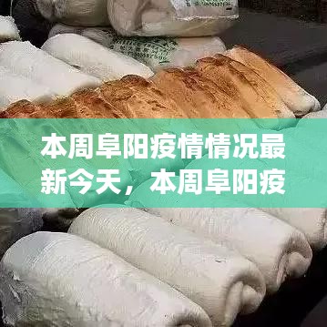 本周阜陽(yáng)疫情最新動(dòng)態(tài)，今日疫情分析、防控成效與多方觀點(diǎn)聚焦