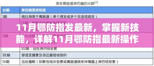 11月鄂防指最新操作流程步驟指南，掌握新技能的詳解