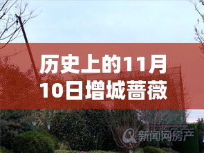 歷史上的11月10日增城薔薇國際房價揭秘，最新價格一覽表！