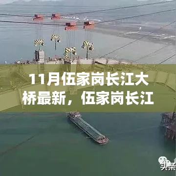 伍家崗長江大橋最新評測，特性、使用體驗與目標用戶分析揭秘