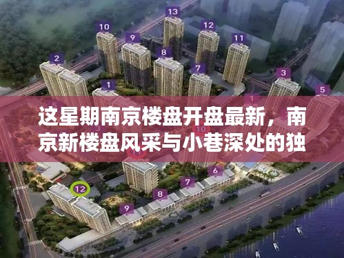 南京新樓盤風(fēng)采與小巷獨(dú)特小店探索，本周樓盤開盤最新資訊
