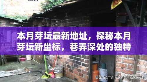 探秘本月芽壇新坐標(biāo)，巷弄深處的獨特小店最新地址揭秘