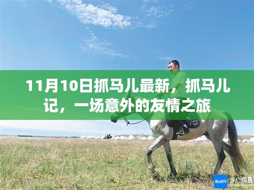意外友情之旅，抓馬兒記最新報道