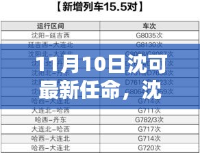 沈可新任命的背后，背景、影響與時(shí)代地位分析（最新更新）