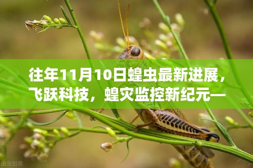揭秘智能蝗蟲監(jiān)測系統(tǒng)，最新進(jìn)展與體驗(yàn)之旅