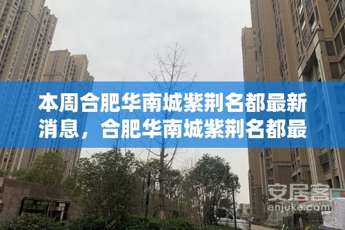 合肥華南城紫荊名都最新動(dòng)態(tài)速遞，掌握最新消息的步驟指南