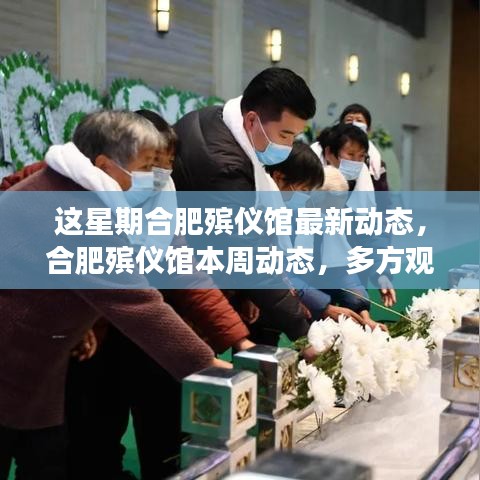 合肥殯儀館本周多方觀點(diǎn)深度解讀，最新動(dòng)態(tài)與探討