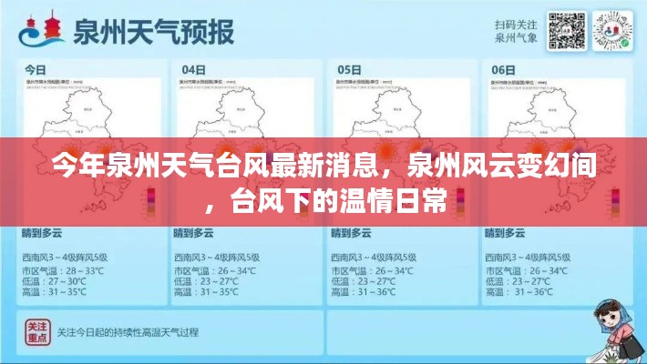 泉州臺風(fēng)最新消息，風(fēng)云變幻中的溫情日常