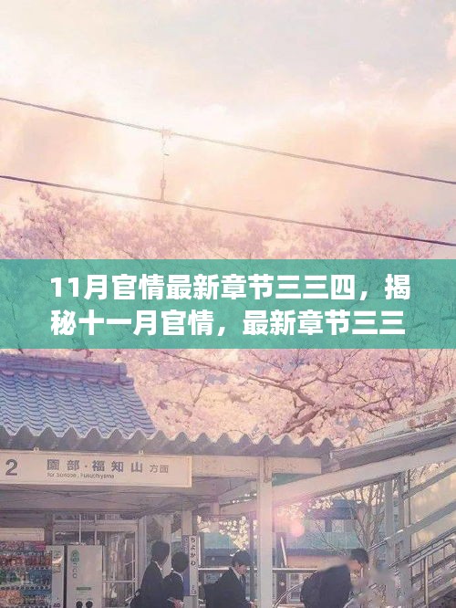 揭秘十一月官情最新章節(jié)三三四，深度解讀與要點詳解