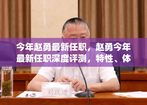 趙勇最新任職深度解析，特性、體驗、競品對比及用戶群體全面剖析
