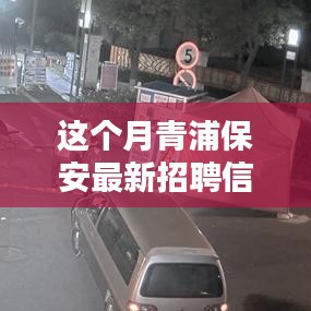 青浦保安最新招聘信息本月概覽，全面解析招聘動態(tài)與要求