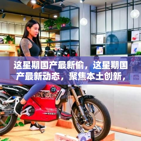 本周國產(chǎn)最新動態(tài)聚焦，本土創(chuàng)新動態(tài)與產(chǎn)業(yè)新動向的洞悉
