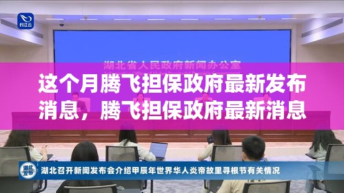 騰飛擔保政府最新消息解讀與操作指南，初學者與進階用戶必讀指南