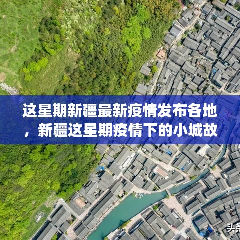 政策法規(guī) 第201頁(yè)