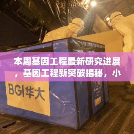 基因工程新突破揭秘，小巷深處的未來科技實(shí)驗(yàn)室本周最新進(jìn)展報道！