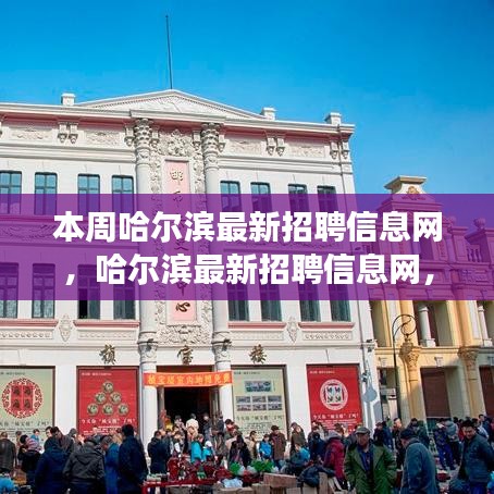 時代脈搏下的招聘風(fēng)向標(biāo)，本周哈爾濱最新招聘信息網(wǎng)匯總